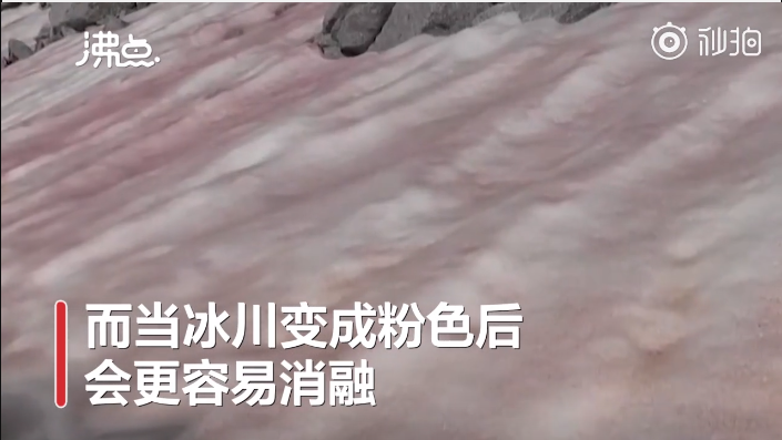 阿爾卑斯山驚現粉色冰川 alps1.png